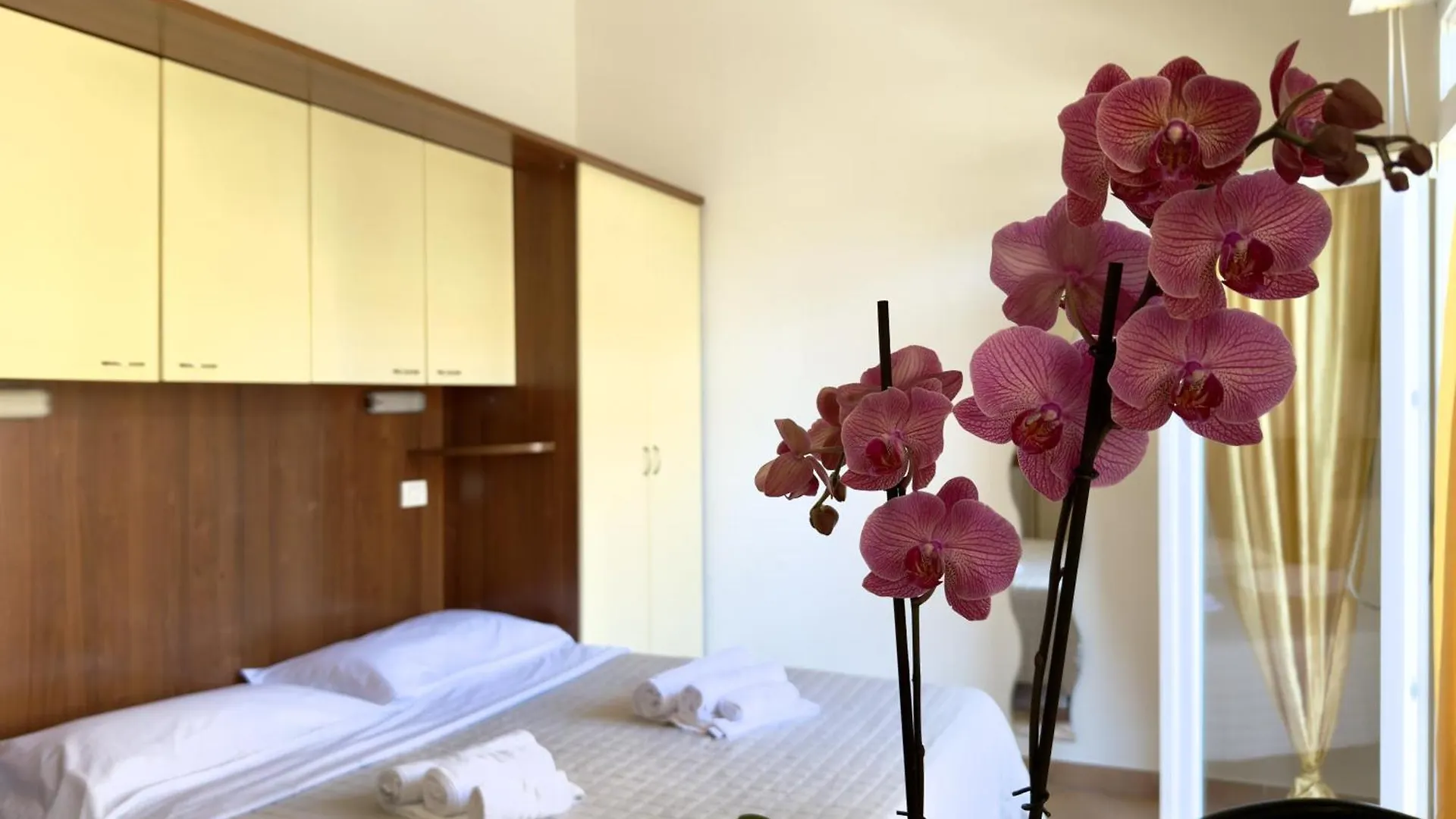 Residence Carioca Rimini 2*,