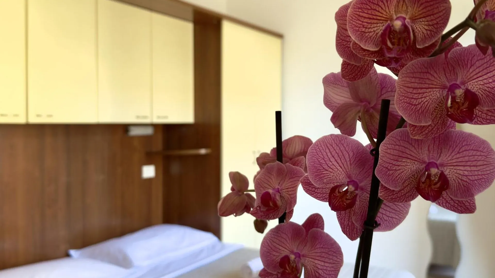 ** Aparthotel Residence Carioca Rimini Itálie